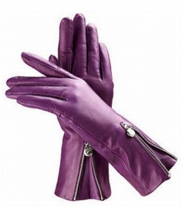 Fashion  Gloves